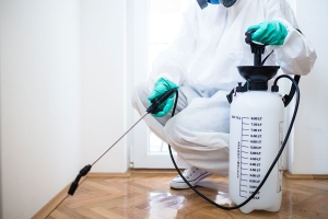 The Importance of Professional Pest Control Services: Keeping Your Home Free from Unwanted Guests