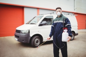 A Step-by-Step Guide to Finding the Best Pest Control Services
